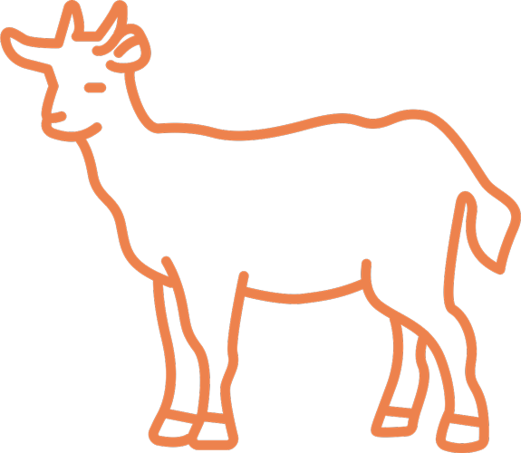 Icon Ziege