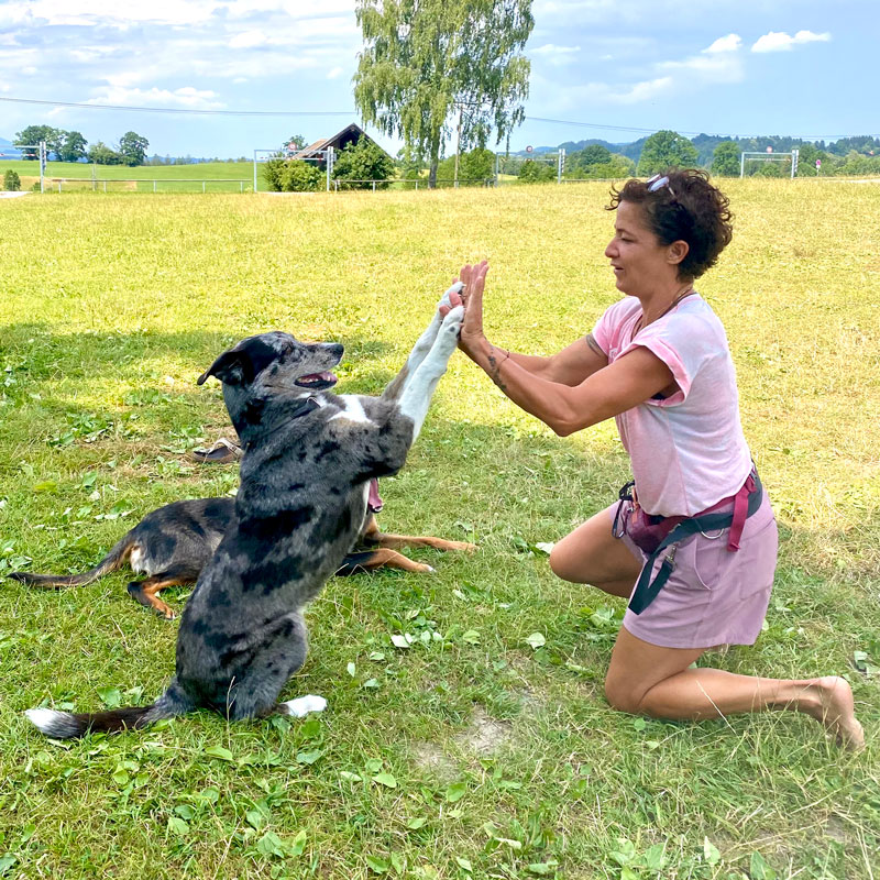 Hund und Frauchen klatschen sich ab