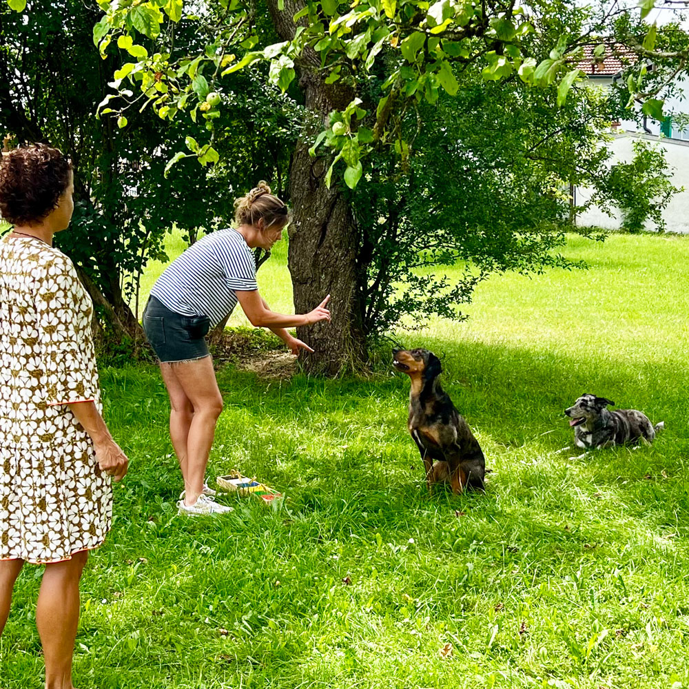 Frau arbeitet mit Hund