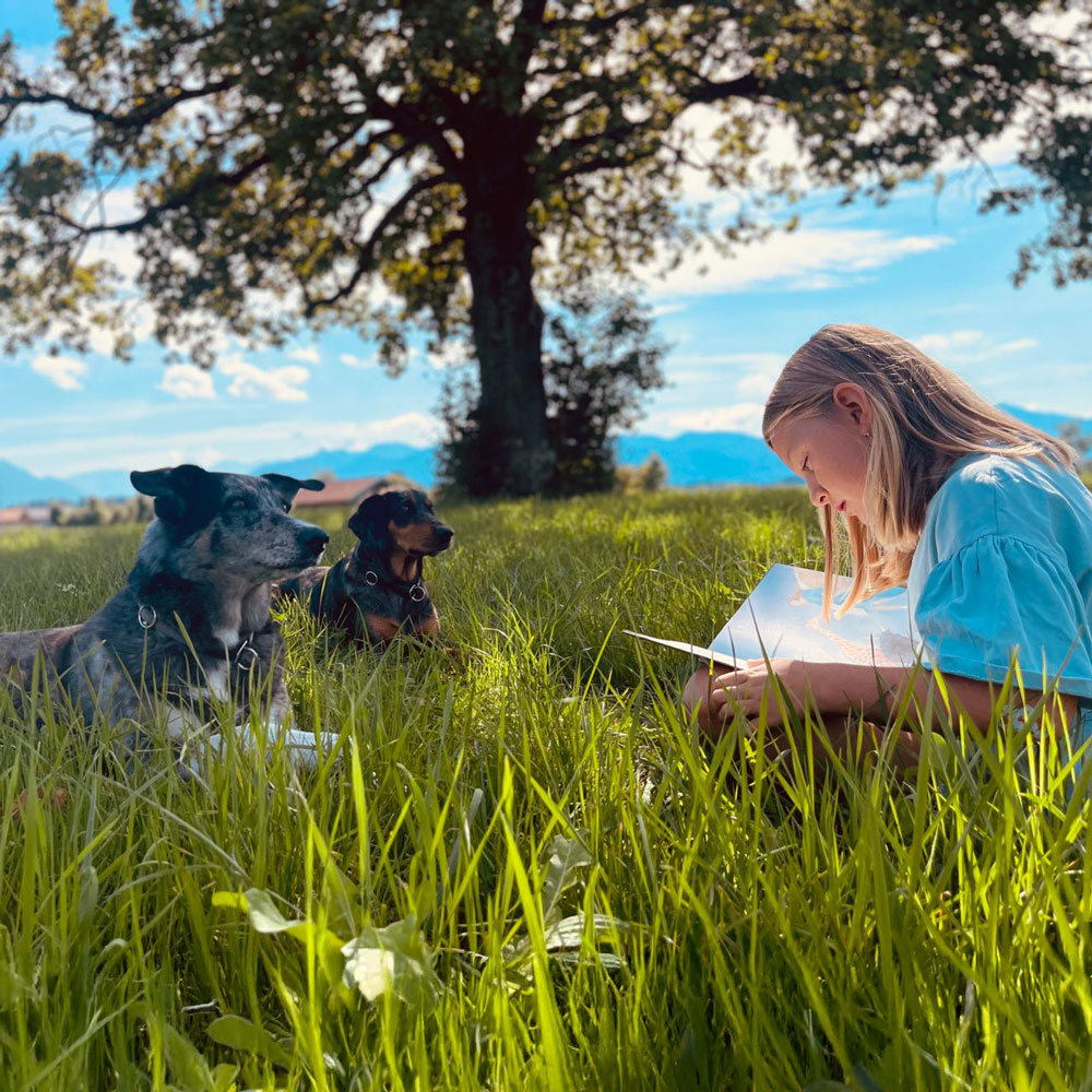 Kind liest im Buch, Hunde schauen zu