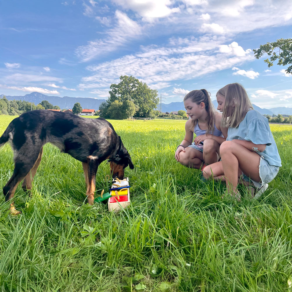 Hund sucht und Mädchen schauen zu