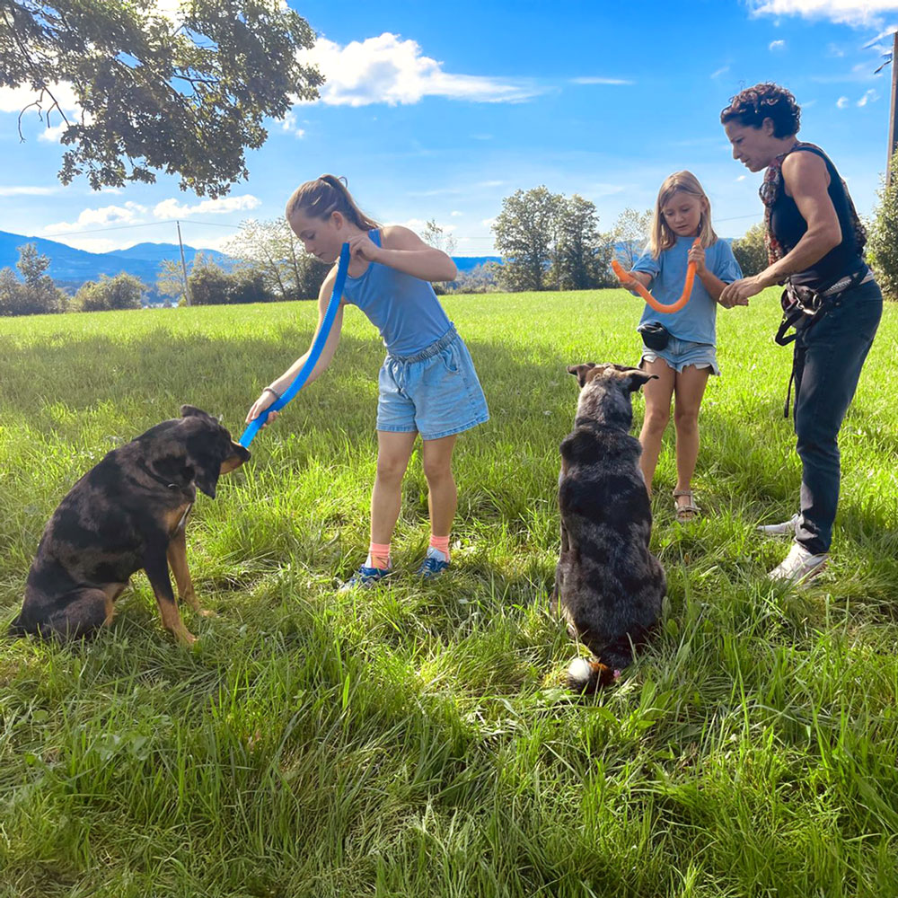Hunde arbeiten mit Kindern und Trainerin schaut zu