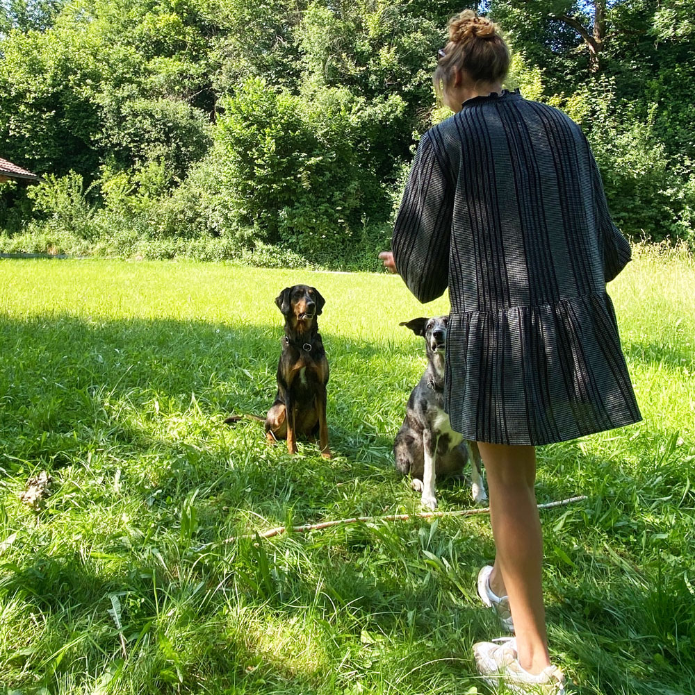 Frau geht auf Hunde zu