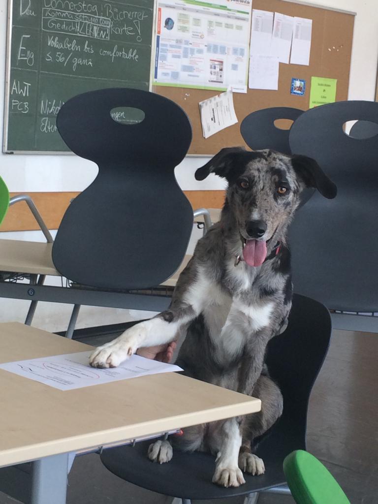 Kinder. sitzen auf einem Steg und schauen in die Kamera